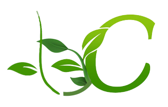 UYC Ltd